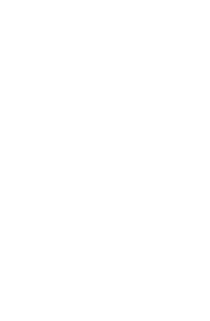 Z Studio